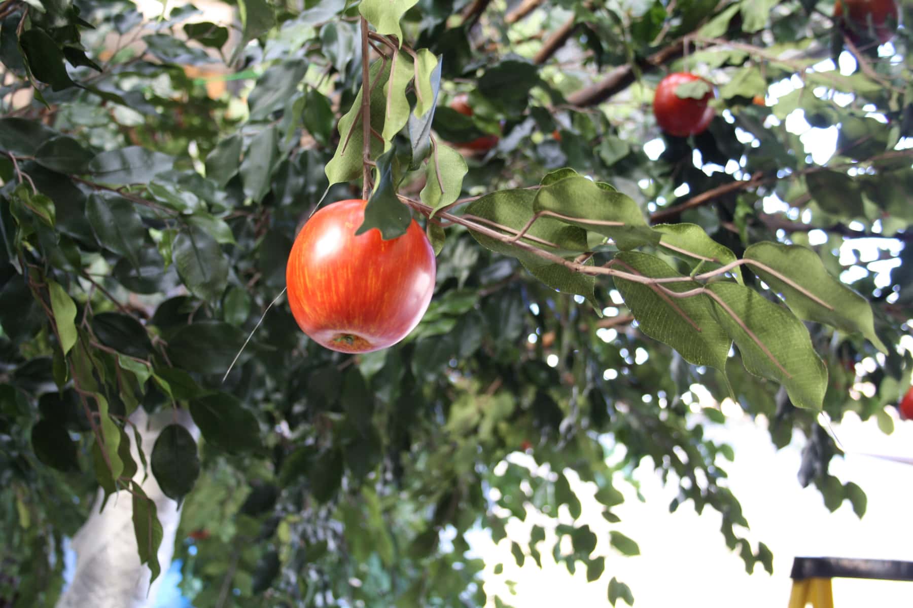 Bespoke Artificial Fruit Trees Design Example